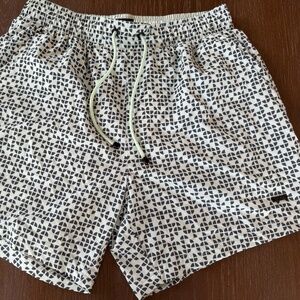 Hugo Boss Light Green  Mens Swim Shorts with Liner